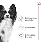 ROYAL CANIN Croquettes X-Small Adult