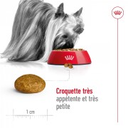 ROYAL CANIN Croquettes X-Small Adult