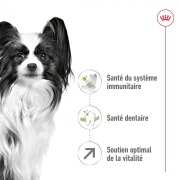 ROYAL CANIN Croquettes X-Small Adult 8+ 1,5 kg