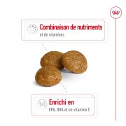 ROYAL CANIN Croquettes X-Small Adult 8+