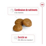 ROYAL CANIN Croquettes X-Small Adult 8+