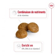 ROYAL CANIN Croquettes X-Small Adult 8+ 1,5 kg
