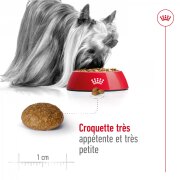 ROYAL CANIN Croquettes X-Small Adult 8+