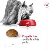 ROYAL CANIN Croquettes X-Small Adult 8+ 1,5 kg