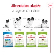 ROYAL CANIN Croquettes X-Small Adult 8+ 1,5 kg