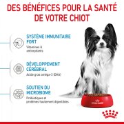 ROYAL CANIN Croquettes X-Small Puppy