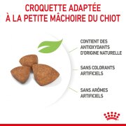ROYAL CANIN Croquettes X-Small Puppy