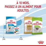 ROYAL CANIN Croquettes X-Small Puppy