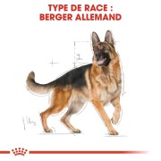 ROYAL CANIN Croquettes Berger Allemand Adult sac de 11 kg