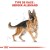 ROYAL CANIN Croquettes Berger Allemand Adult
