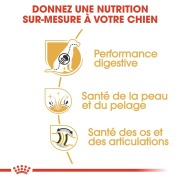 ROYAL CANIN Croquettes Berger Allemand Adult sac de 11 kg