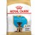 ROYAL CANIN Croquettes Berger Allemand puppy chiot