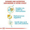 ROYAL CANIN Croquettes Berger Allemand puppy chiot Sac de 12 kg