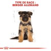 ROYAL CANIN Croquettes Berger Allemand puppy chiot Sac de 12 kg