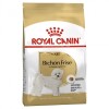 ROYAL CANIN Croquettes Bichon frisé mini Adult sac de 1,5 kg