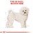ROYAL CANIN Croquettes Bichon frisé mini Adult