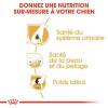 ROYAL CANIN Croquettes Bichon frisé mini Adult sac de 1,5 kg