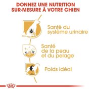 ROYAL CANIN Croquettes Bichon frisé mini Adult