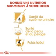 ROYAL CANIN Croquettes Bichon frisé mini Adult