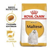 ROYAL CANIN Croquettes Bichon Maltais Adult Sac de 1,5 kg