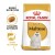 ROYAL CANIN Croquettes Bichon Maltais Adult