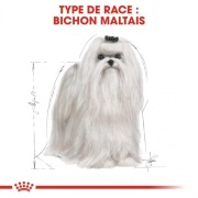ROYAL CANIN Croquettes Bichon Maltais Adult Sac de 1,5 kg