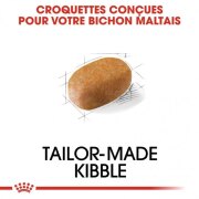 ROYAL CANIN Croquettes Bichon Maltais Adult