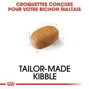 ROYAL CANIN Croquettes Bichon Maltais Adult