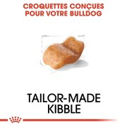 ROYAL CANIN Croquettes Bouledogue Anglais Adult