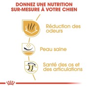 ROYAL CANIN Croquettes Bouledogue Anglais Adult