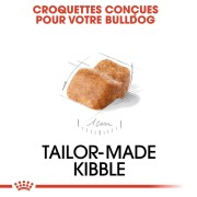 ROYAL CANIN Croquettes Bouledogue Anglais puppy