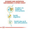 ROYAL CANIN Croquettes Bouledogue Anglais puppy