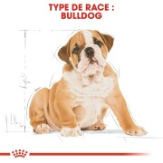 ROYAL CANIN Croquettes Bouledogue Anglais puppy