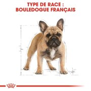 ROYAL CANIN Croquettes Bouledogue Français Adult