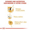 ROYAL CANIN Croquettes Bouledogue Français Adult