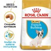 ROYAL CANIN Croquettes Bouledogue Français puppy
