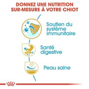 ROYAL CANIN Croquettes Bouledogue Français puppy