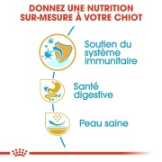 ROYAL CANIN Croquettes Bouledogue Français puppy