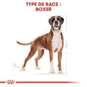 ROYAL CANIN Croquettes Boxer Adult