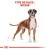 ROYAL CANIN Croquettes Boxer Adult Sac de 12 kg