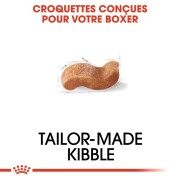 ROYAL CANIN Croquettes Boxer Adult