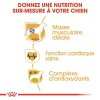 ROYAL CANIN Croquettes Boxer Adult Sac de 12 kg