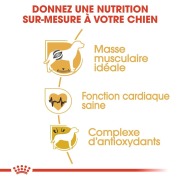 ROYAL CANIN Croquettes Boxer Adult Sac de 12 kg