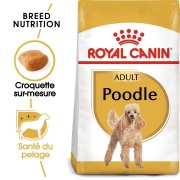 ROYAL CANIN Croquettes Caniche Adult Sac de 1.5 kg