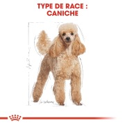 ROYAL CANIN Croquettes Caniche Adult Sac de 1.5 kg