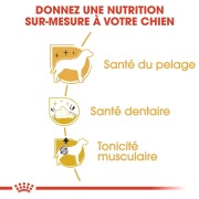 ROYAL CANIN Croquettes Caniche Adult Sac de 1.5 kg