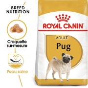 ROYAL CANIN Croquettes Carlin Adult 1,5 kg