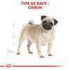 ROYAL CANIN Croquettes Carlin Adult 1,5 kg