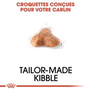 ROYAL CANIN Croquettes Carlin Adult 1,5 kg