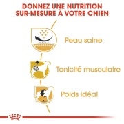 ROYAL CANIN Croquettes Carlin Adult 1,5 kg